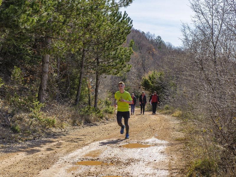 Trekking/hiking